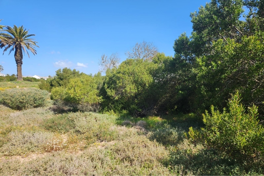 0 Bedroom Property for Sale in Shelley Point Western Cape